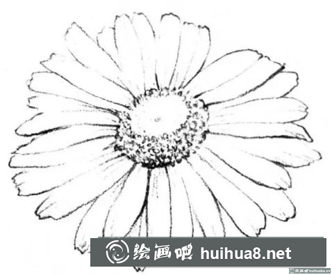 花卉的畫法