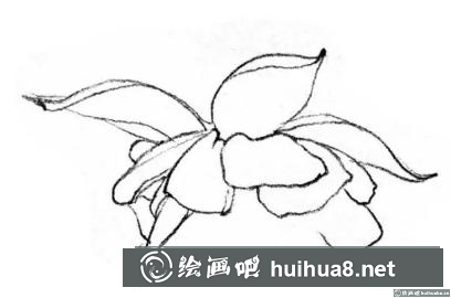 花卉的畫法