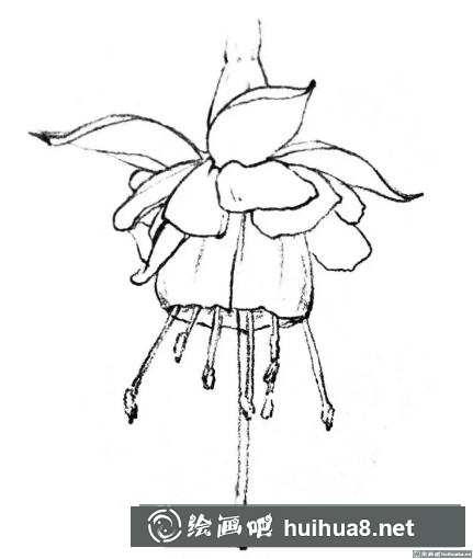 花卉的畫法