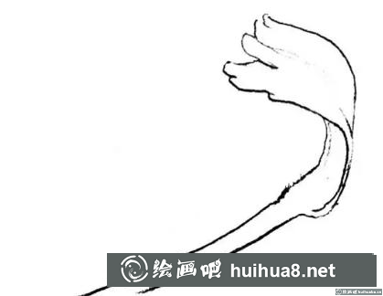 花卉的畫法