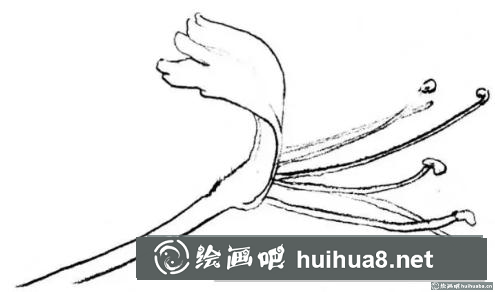 花卉的畫法