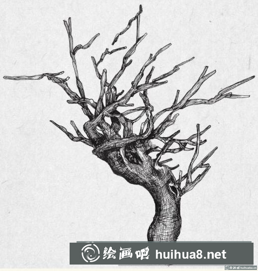 鋼筆畫(huà)樹(shù)枝