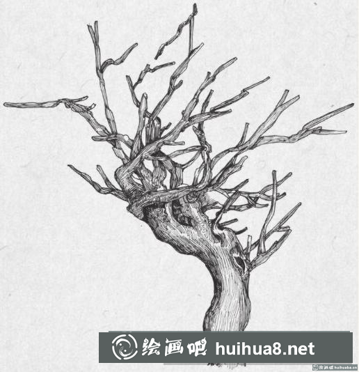 鋼筆畫(huà)樹(shù)枝