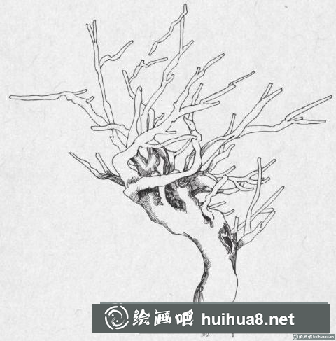 鋼筆畫(huà)樹(shù)枝