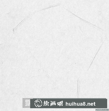 鋼筆畫(huà)樹(shù)枝