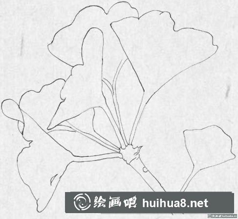 鋼筆畫銀杏葉