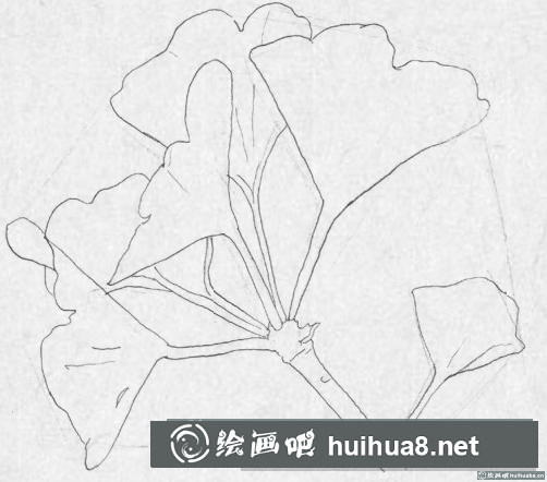 鋼筆畫銀杏葉
