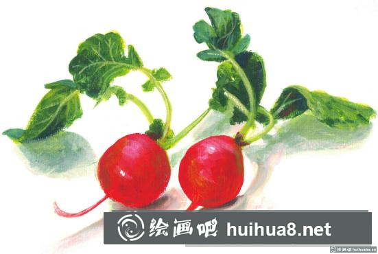丙烯畫水蘿卜