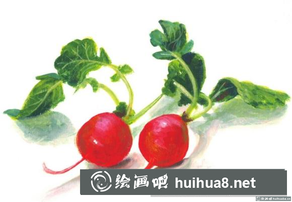 丙烯畫水蘿卜