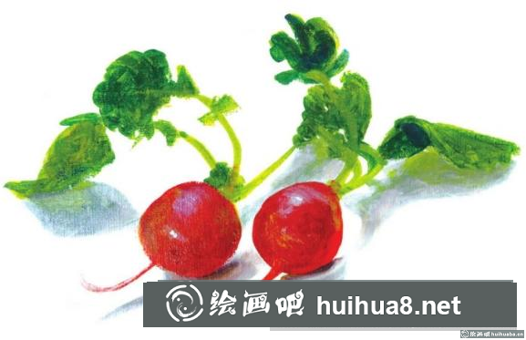 丙烯畫水蘿卜