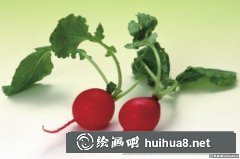 丙烯畫水蘿卜步驟解析
