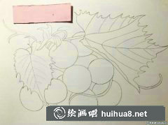 水彩畫葡萄熟了繪制教程