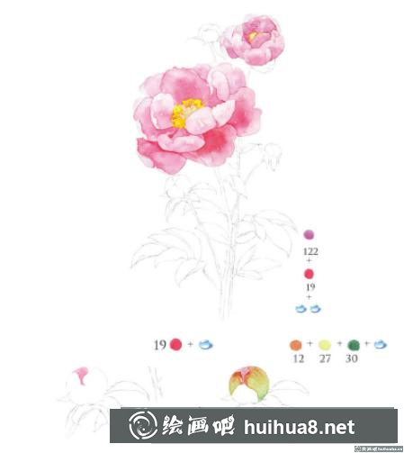 怎么畫芍藥花