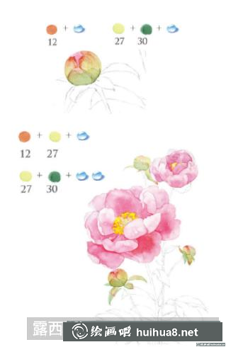 怎么畫芍藥花