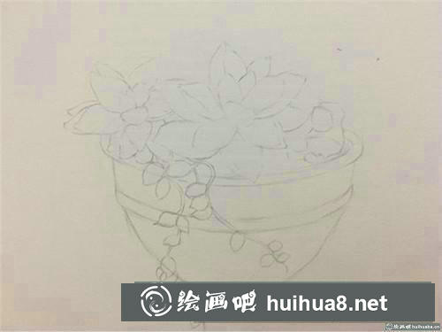 多肉姬朧月彩鉛畫