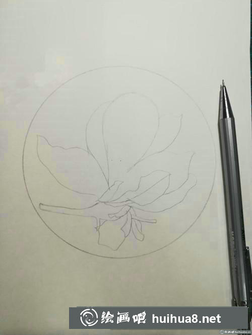 優(yōu)雅玉蘭花彩鉛畫