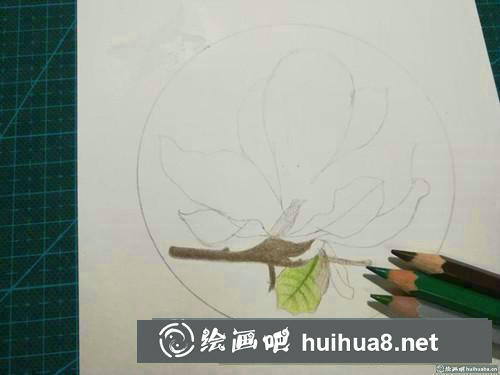 優(yōu)雅玉蘭花彩鉛畫