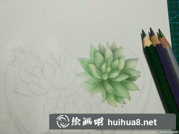 心形多肉繪彩鉛畫