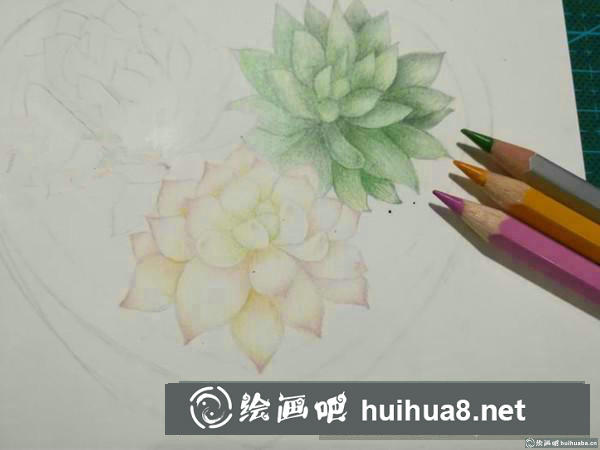 心形多肉繪彩鉛畫