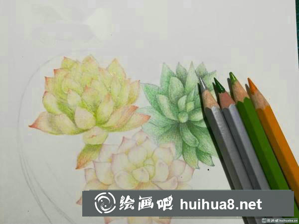 心形多肉繪彩鉛畫(huà)