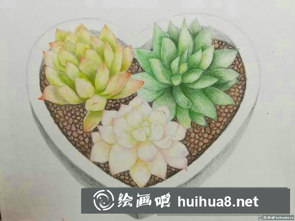 心形多肉繪彩鉛畫