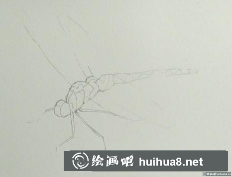 彩鉛畫蜻蜓 彩鉛畫蜻蜓
