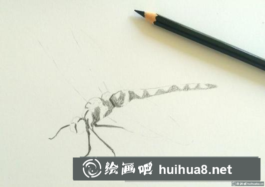 彩鉛畫蜻蜓 彩鉛畫蜻蜓
