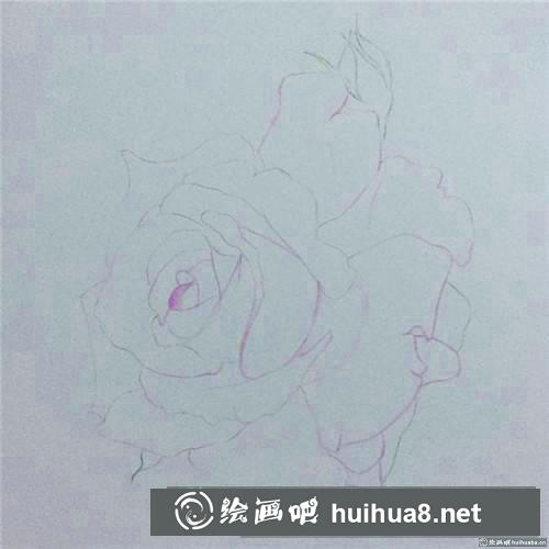 浪漫玫瑰彩鉛畫