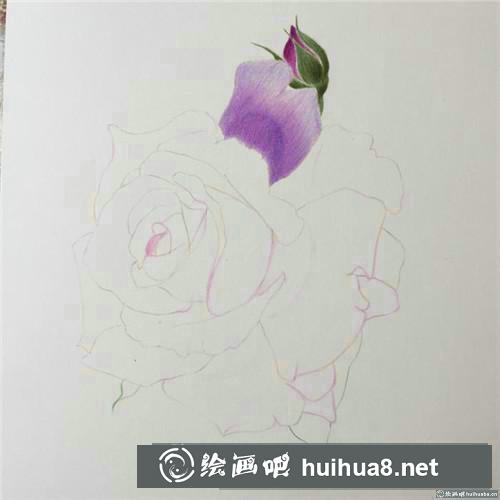 浪漫玫瑰彩鉛畫