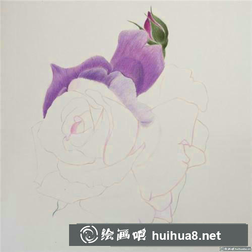 浪漫玫瑰彩鉛畫