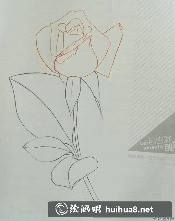 玫瑰圓珠筆畫