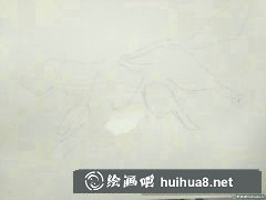 狼插畫繪制方法詳解