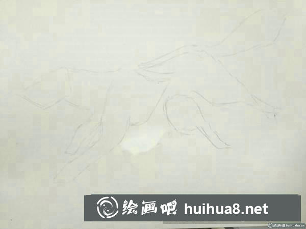 狼插畫