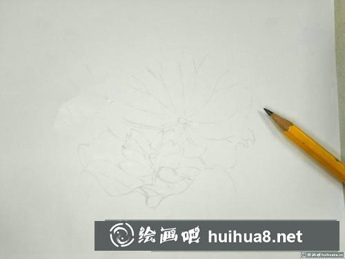 清蓮圓珠筆畫(huà)