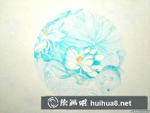 清蓮圓珠筆畫(huà)