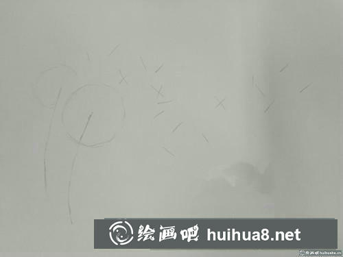 蒲公英插畫