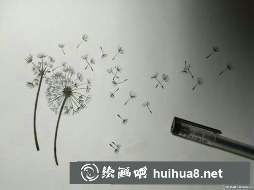蒲公英插畫