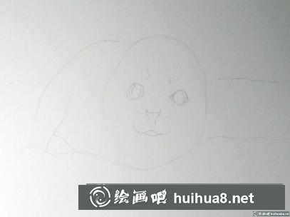彩鉛畫小海豹