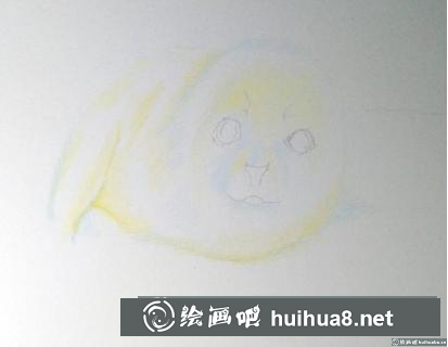 彩鉛畫小海豹