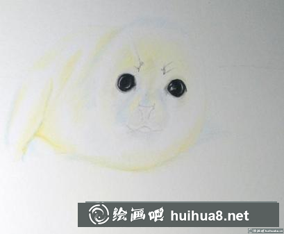 彩鉛畫小海豹
