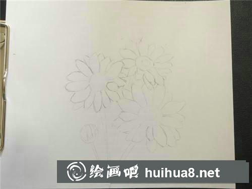 雛菊彩鉛畫
