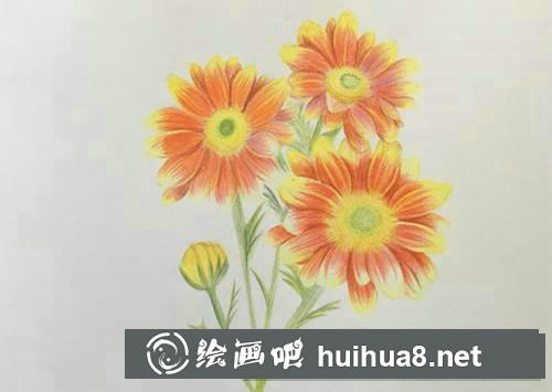 雛菊彩鉛畫