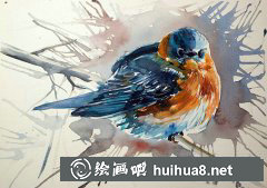 色彩斑斕動物水彩畫賞析