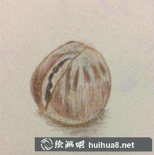 板栗彩鉛畫