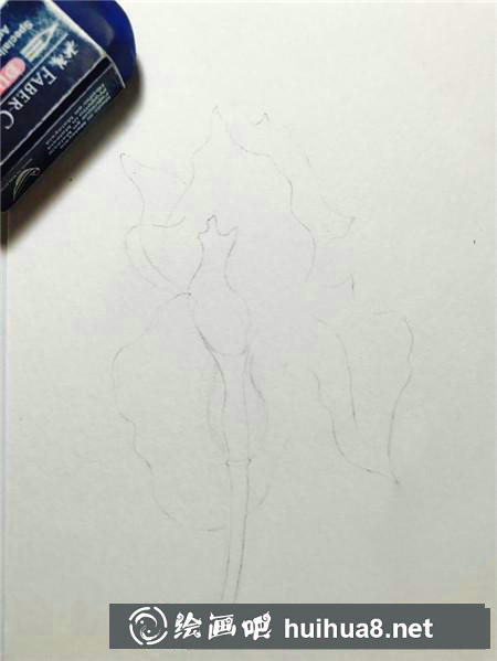綠色植物彩鉛畫教程