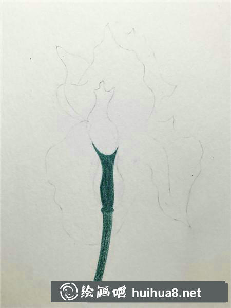 綠色植物彩鉛畫教程
