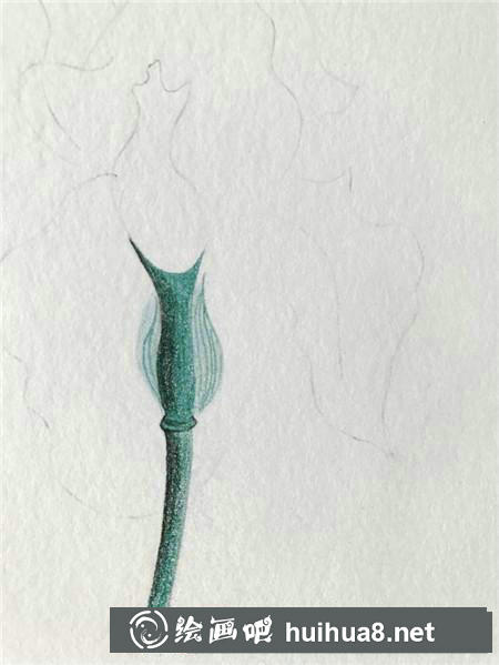 綠色植物彩鉛畫教程