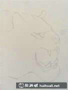 老虎插畫教程輕松學(xué)