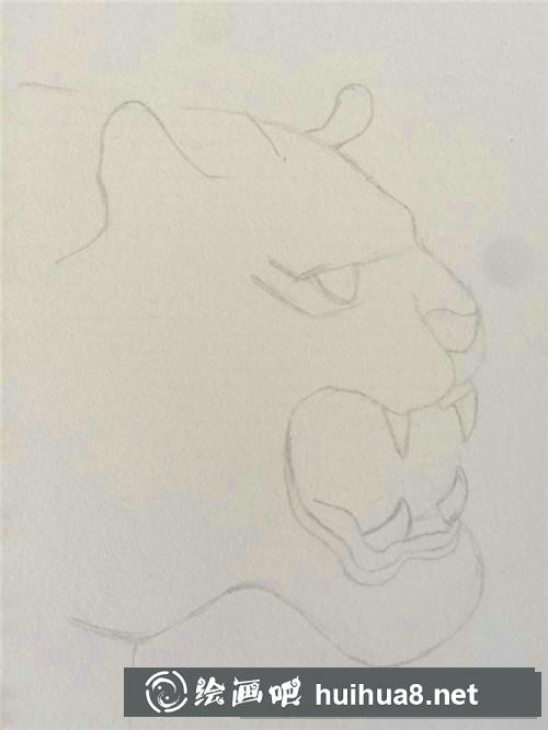 老虎插畫