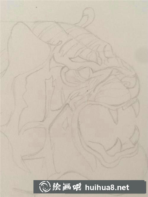 老虎插畫